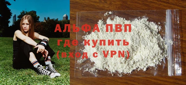 мет Алексин