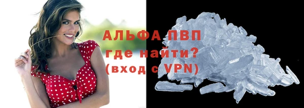 мет Алексин
