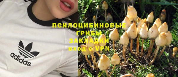мет Алексин