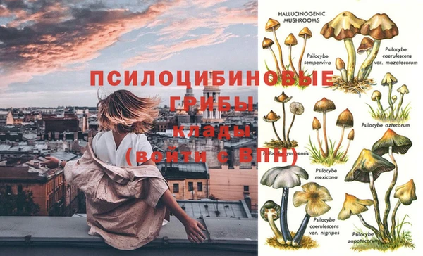 мет Алексин